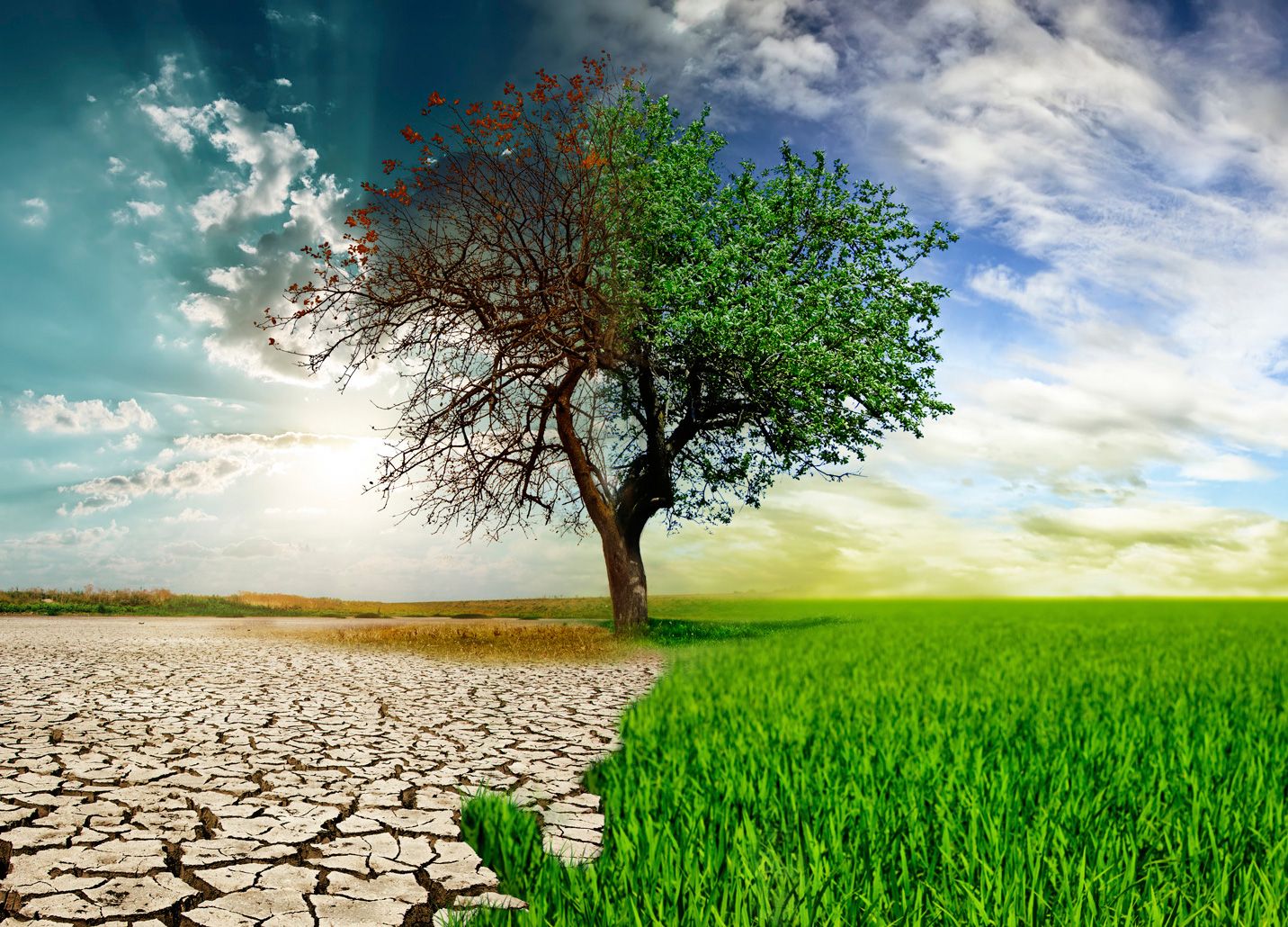 Sürdürülebilirlik